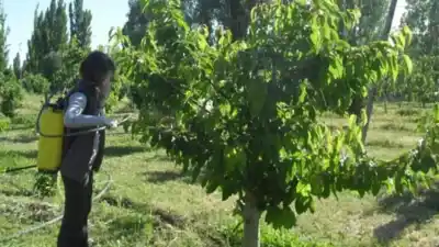 Nueva capacitación gratuita en Allen para productores frutihortícolas: el detalle que tenés que saber