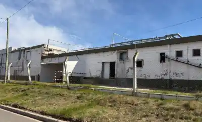 Frígorífico Pico convoca a asamblea clave: denuncias de vaciamiento y un edificio en abandono