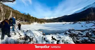 Alerta en Puerto Williams: qué encontraron en el río Róbalo que preocupa a las autoridades