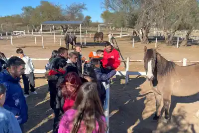 El Día Nacional de la Equinoterapia reunió a más de 150 personas en los centros de San Luis
