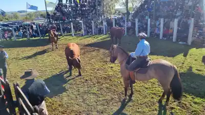 Remates millonarios y genética de punta: así cerró la Expo Rural Misiones en Fachinal