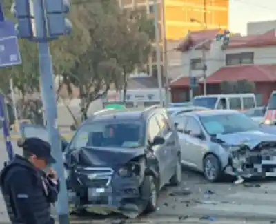 Un auto terminó incrustado contra una palma en pleno centro de Comodoro: qué pasó