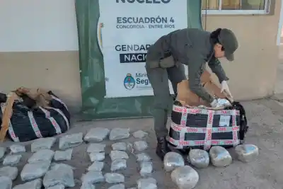 Así operaba la red de encomiendas con 212 kilos de marihuana que desarticularon en Concordia