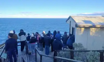 El Doradillo a sala llena: vecinos de Puerto Madryn vivieron dos jornadas únicas de avistaje