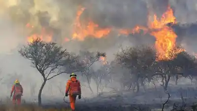 Un descuido con brasas provocó un incendio de 15 hectáreas en Charbonier y terminó con un detenido