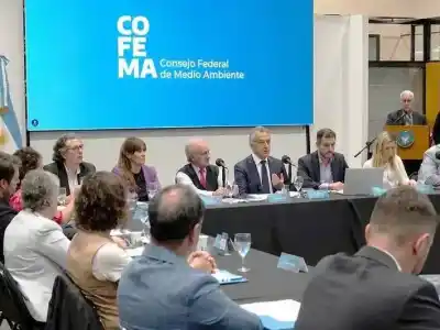 El duro revés de Formosa a la Nación: qué decidió el COFEMA y por qué preocupa a las provincias