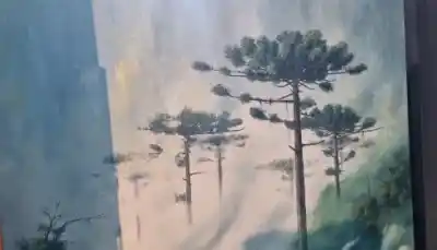 Un artista misionero lleva la selva al arte y lanza una advertencia que nadie puede ignorar