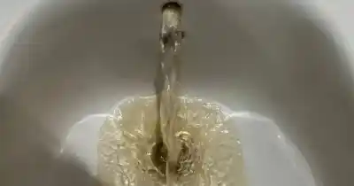 El drama del agua marrón: miles de vecinos pasaron del líquido turbio al corte total