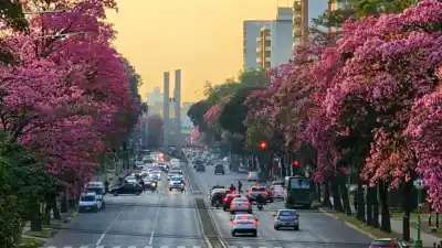 Frío en Tucumán: cuánto durará el congelamiento y cuándo llega el alivio