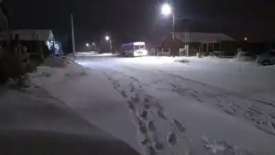 Bariloche bajo nieve y viento blanco: piden no salir y las clases siguen suspendidas