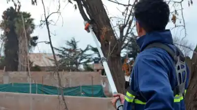 Atención conductores: cortan un tramo clave de Luzuriaga por trabajos de poda