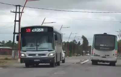 La línea 21 se detiene: ¿hasta cuándo durará el paro que complica a miles de pasajeros?