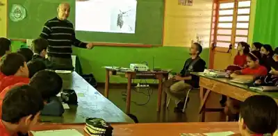 Se convirtieron en detectives por un día y hallaron algo preocupante en los patios