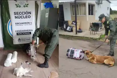 Un perro antinarcóticos marcó un paquete y destapó un envío con seis kilos de marihuana ocultos en tubos