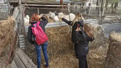 Intercambio educativo sin precedentes: estudiantes francesas ya están en las agrotécnicas de Río Negro