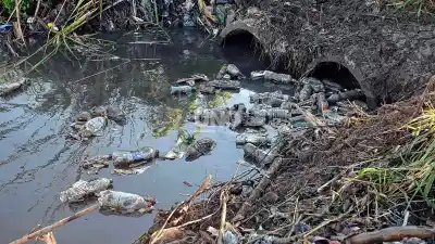 Santa Fe bajo amenaza: piden Emergencia Hídrica por El Niño y critican la pasividad del municipio