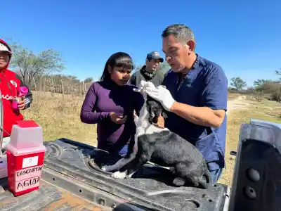 Masiva vacunación antirrábica en Ingeniero Juárez: 420 mascotas protegidas en dos días