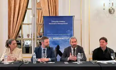 El Medanito: la jugada de La Pampa que despertó el interés de 17 gigantes energéticos