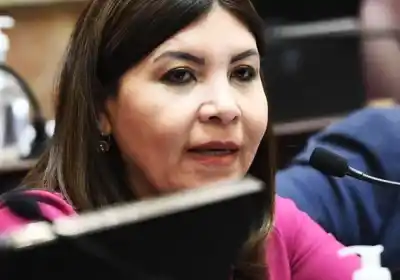 El drama de las familias que se endeudaron para comer llegó al Congreso