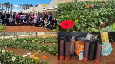 Dejaron el tabaco y ahora cultivan flores: 20 familias misioneras cambian su futuro con un innovador programa