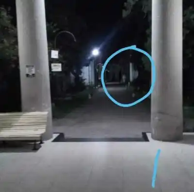 ¿Fantasmas en Monteros? ¿Existen? ¿Qué se vio en el Cementerio del Norte?