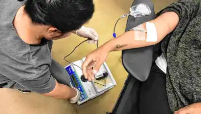 Ya no podrán decidir por vos: el registro que prepara Río Negro para las transfusiones