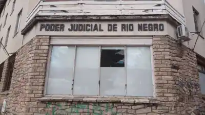 Viven con miedo: ordenan talar 20 pinos gigantes que amenazan una casa en Bariloche
