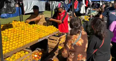 Compras y trámites gratis en zona sur: llega una nueva edición de El Mercado en tu Barrio