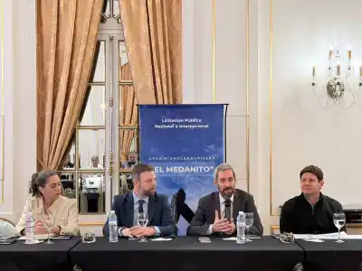El Medanito: La Pampa seduce a 17 empresas en Buenos Aires con una licitación por 25 años