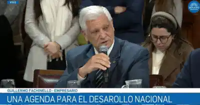 Misiones en el Senado: Fachinello denunció que el Gobierno “les soltó la mano” a los productores