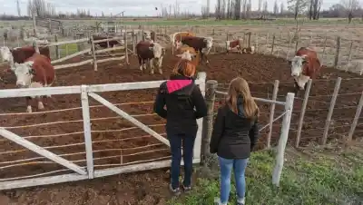 Estudiantes francesas desembarcan en escuelas agrotécnicas de Río Negro: ¿qué están aprendiendo?