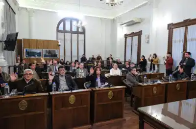 El Senado blindó leyes: no podrán caer tan fácil por inconstitucionales