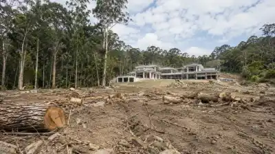 Taló 600 árboles en un corredor de fauna y ahora deberá plantar 38.700 ejemplares