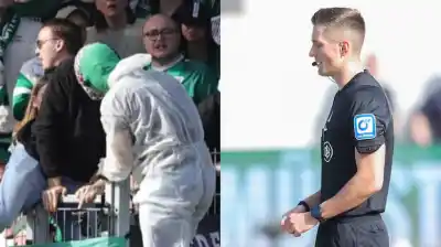 Insólito en Alemania: un hincha invadió la cancha y cometió un acto de sabotaje nunca visto