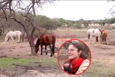 Un plan diferente para el Día de las Infancias: festejo gratis con caballos y terapias que sorprenden