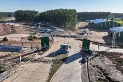 Una planta de celulosa en Ituzaingó: ¿cómo moverán 400 camiones diarios?