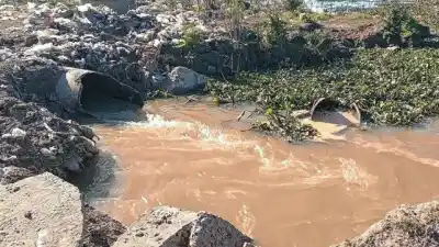 Alerta en Victoria: el desagüe cloacal está roto y el riacho ya no puede disimularlo