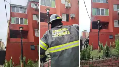 Cortocircuito en un televisor provocó un incendio y bomberos rescataron a cinco perros