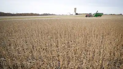 El campo argentino en alerta: la crisis en Medio Oriente dispara los costos y los productores ya no fertilizan