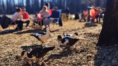 Un fin de semana a puro sabor: la feria que reúne a los productores neuquinos
