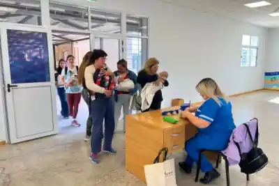 El plan municipal que castra gratis a más de 100 mascotas por semana y transforma la Capital