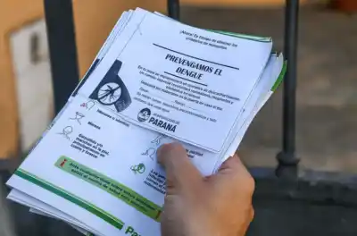 El plan municipal para frenar al mosquito que nadie vio venir