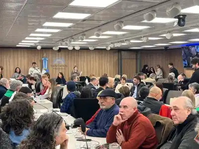Escándalo en Diputados: padres del Coro Nacional de Niños estallaron contra legisladores libertarios