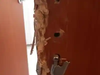 Salió de su casa por la mañana y al volver encontró la puerta forzada: el insólito botín que se llevaron