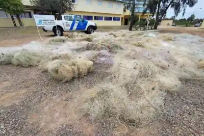 Impactante operativo en Santiago del Estero: destruyeron más de 17.000 metros de redes de pesca ilegal