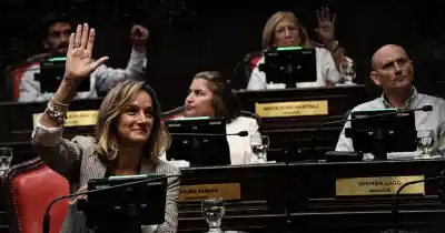 Se cayó el sueño de la re-re: el Senado no trató el proyecto y 81 intendentes quedan en la incertidumbre