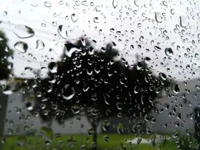 Miércoles inestable en Santa Fe: lluvias aisladas y vientos que cambian de dirección