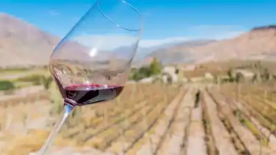 El boom de los vinos artesanales en San Juan: una revolución silenciosa que conquista paladares