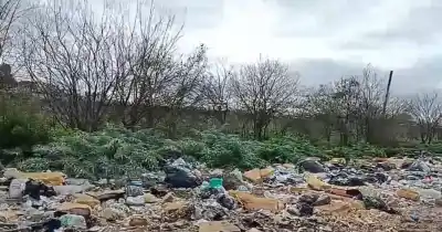Un basural en 526 entre 171 y 173 se convirtió en un criadero de ratas: los vecinos exigen respuestas