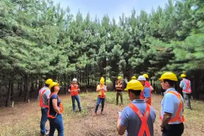 Un viaje al corazón de la forestoindustria: así será la recorrida que AFoA prepara en Misiones y Corrientes